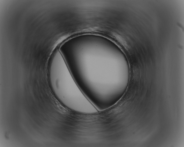 X0000094081308200710190909
