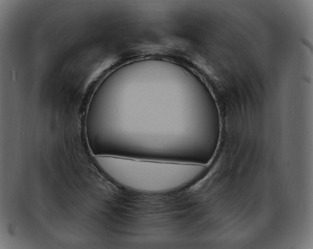 X0000094081309200710190909
