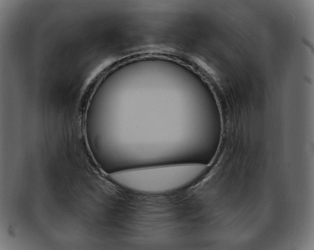 X0000094081310200710190909