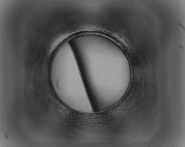 X0000094081311200710190909
