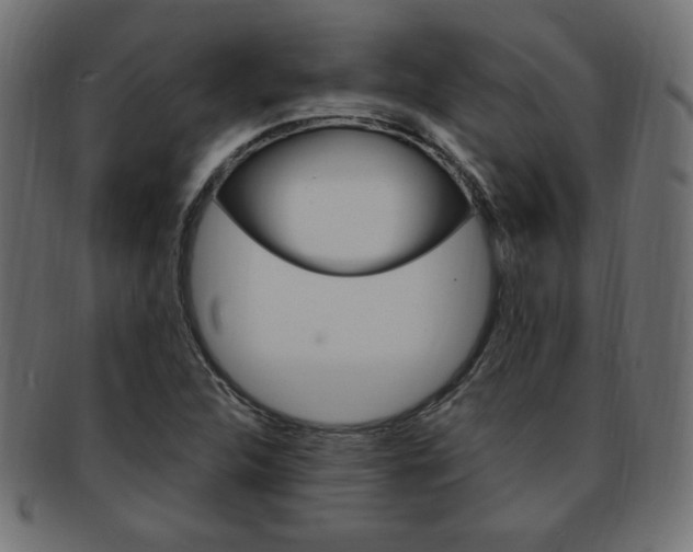 X0000094081312200710190909