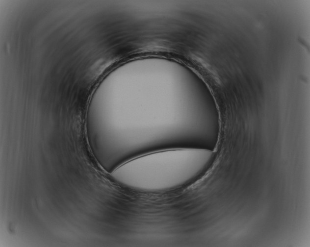 X0000094081313200710190909