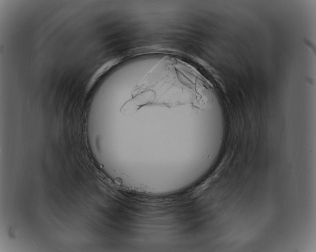 X0000094081314200710190909