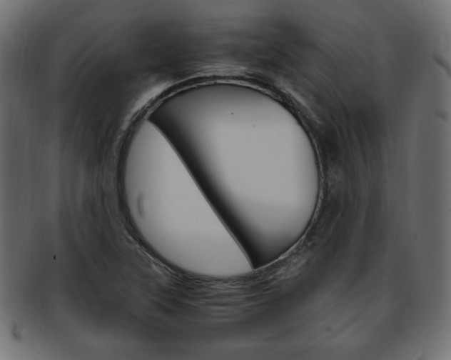 X0000094081315200710190909