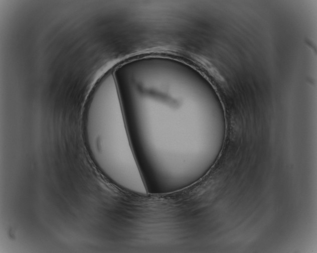 X0000094081316200710190909