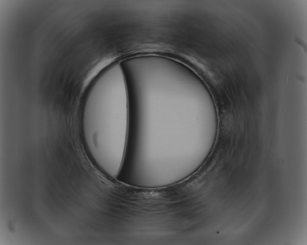 X0000094081317200710190909