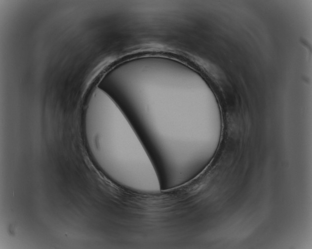 X0000094081318200710190909