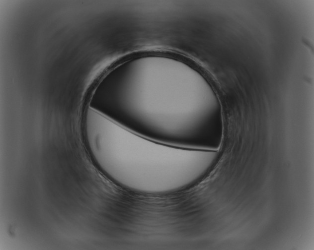 X0000094081319200710190909