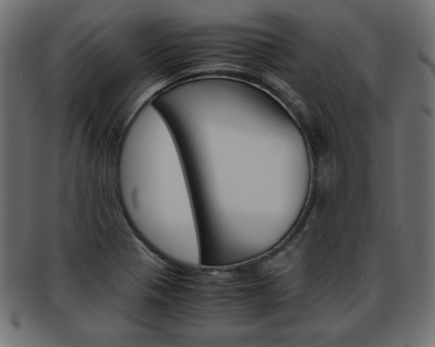 X0000094081321200710190909
