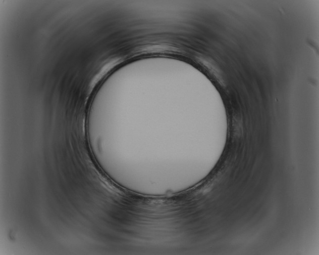 X0000094081322200710190909