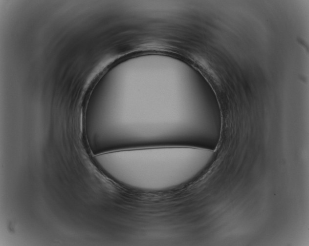 X0000094081323200710190909