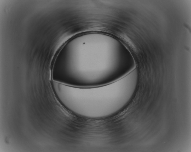 X0000094081324200710190909