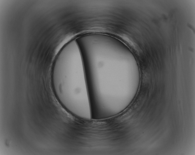 X0000094081325200710190909