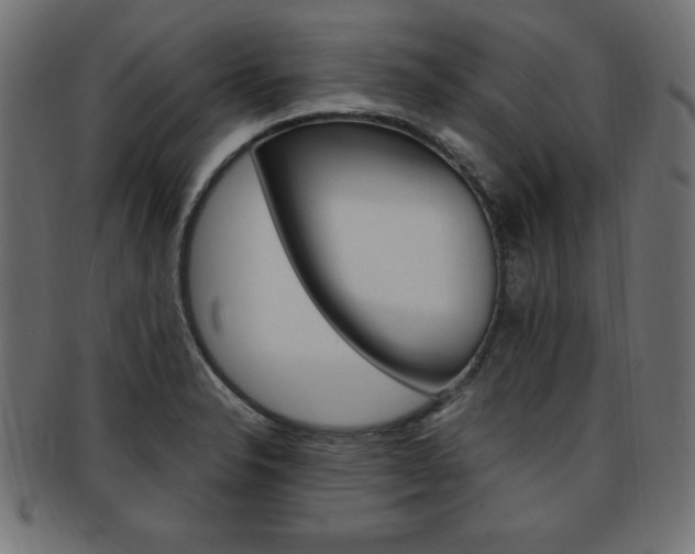 X0000094081326200710190909
