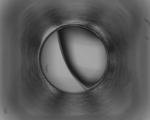 X0000094081328200710190909