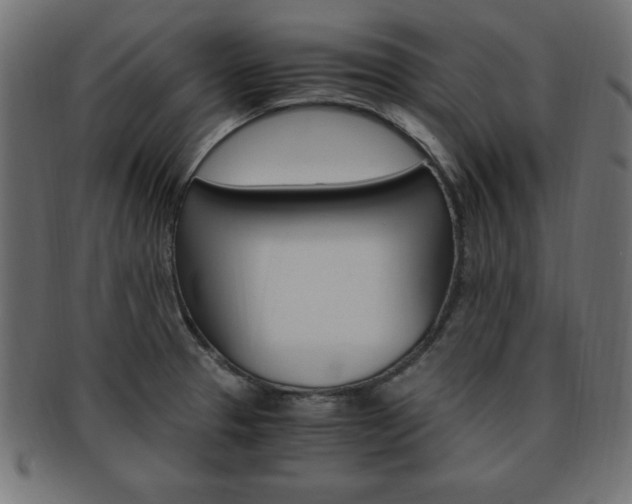 X0000094081329200710190909