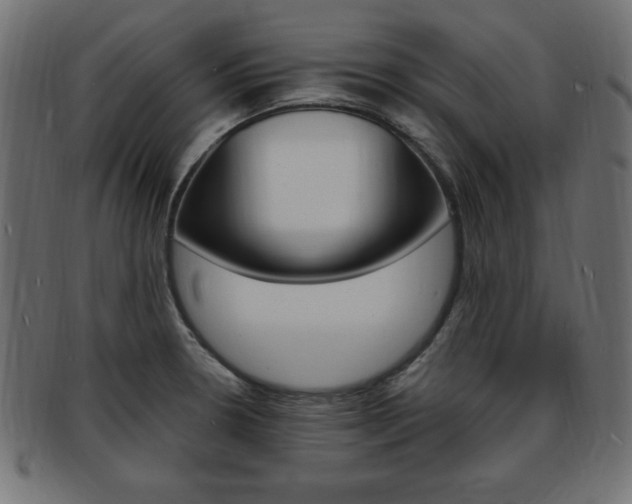 X0000094081330200710190909