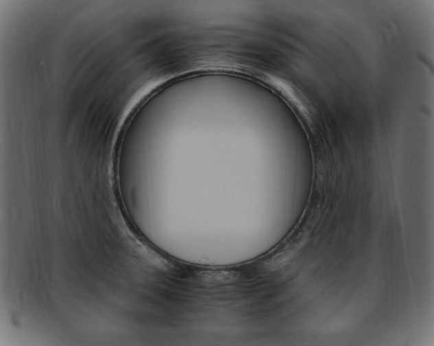 X0000094081331200710190909