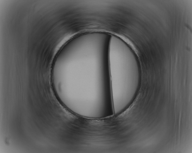 X0000094081333200710190909