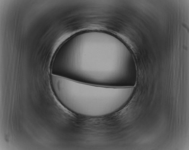 X0000094081335200710190909