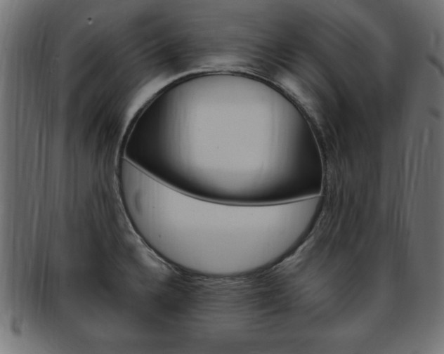 X0000094081336200710190909