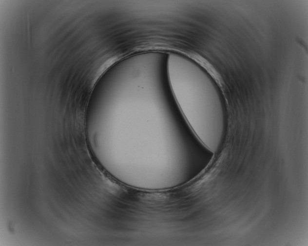 X0000094081337200710190909