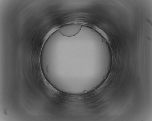 X0000094081338200710190909