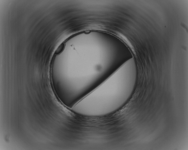 X0000094081339200710190909