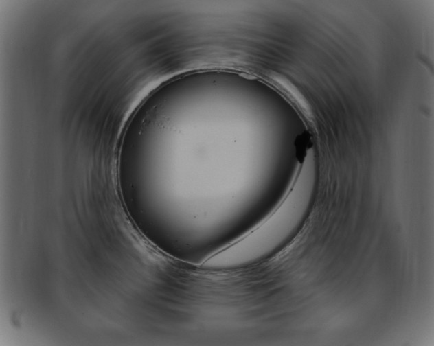 X0000094081340200710190909