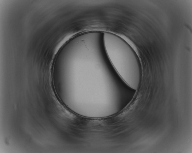 X0000094081341200710190909
