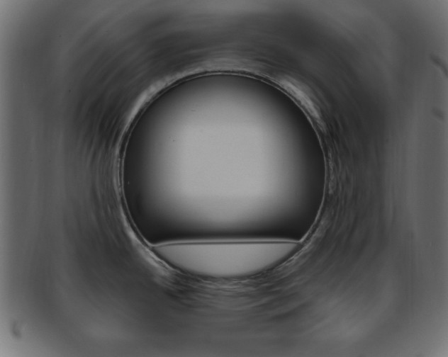 X0000094081342200710190909