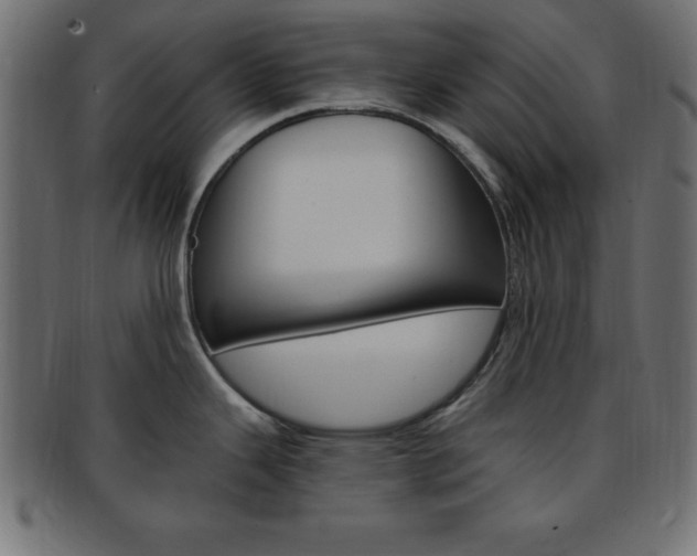X0000094081343200710190909