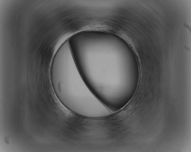 X0000094081344200710190909