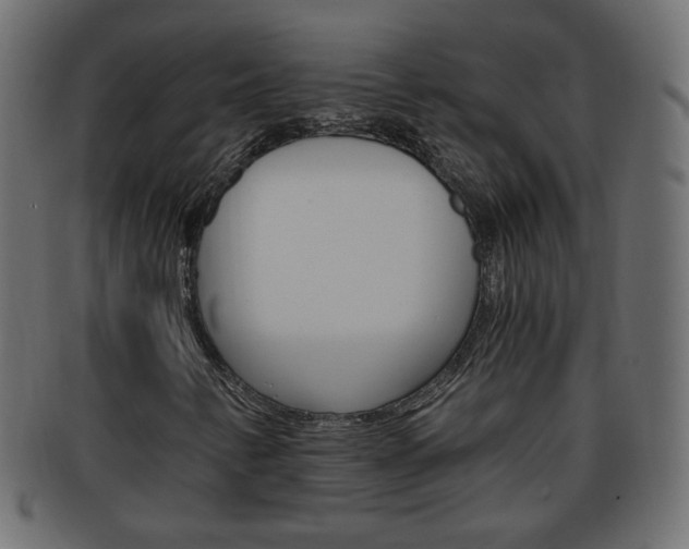 X0000094081346200710190908