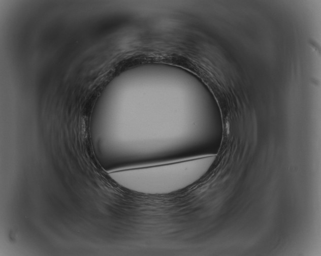 X0000094081347200710190908