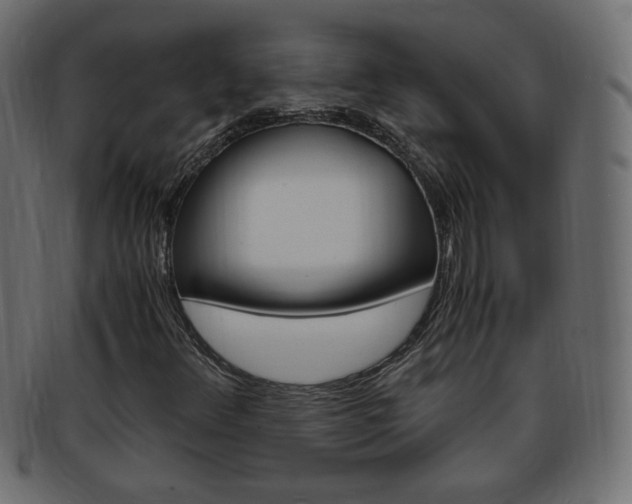 X0000094081348200710190908