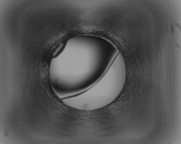 X0000094081349200710190908