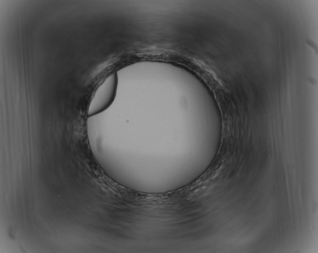 X0000094081350200710190908