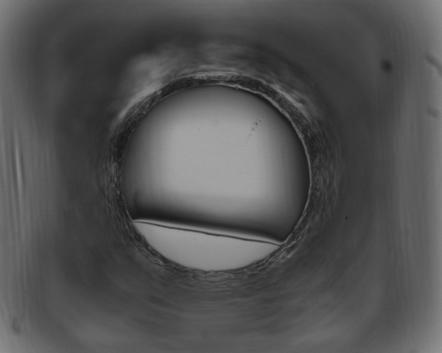 X0000094081351200710190908