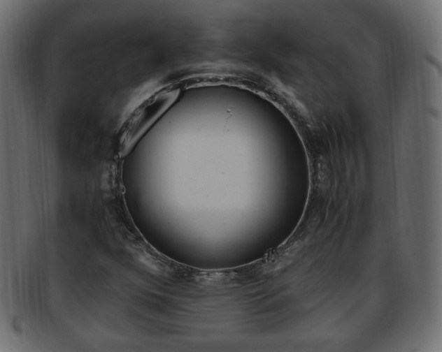 X0000094081352200710190908