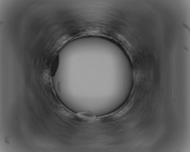 X0000094081353200710190908