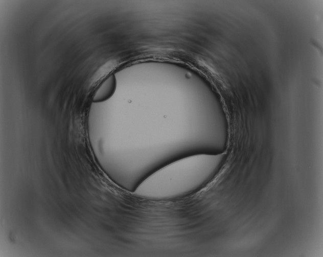 X0000094081354200710190908