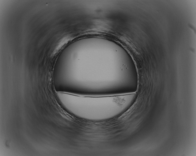 X0000094081355200710190908