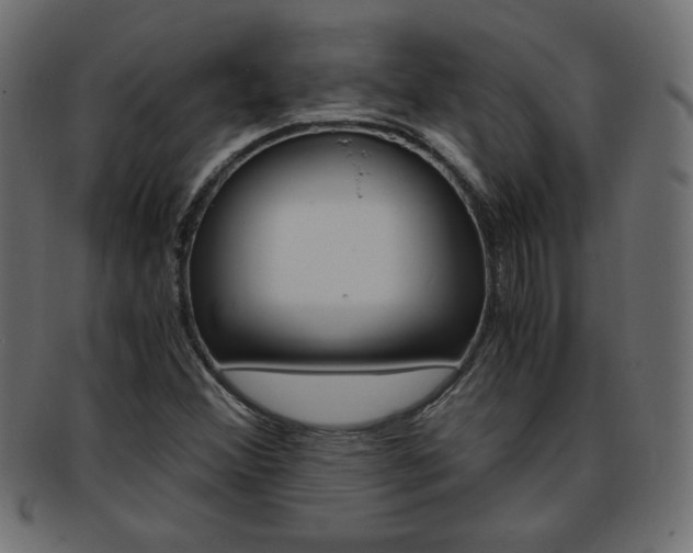 X0000094081356200710190908