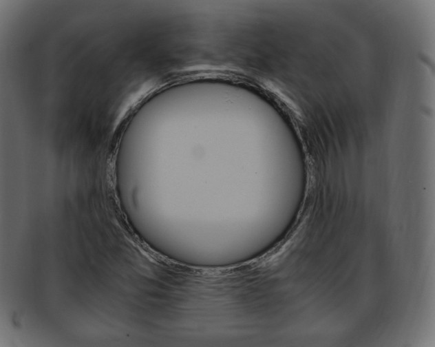 X0000094081357200710190908