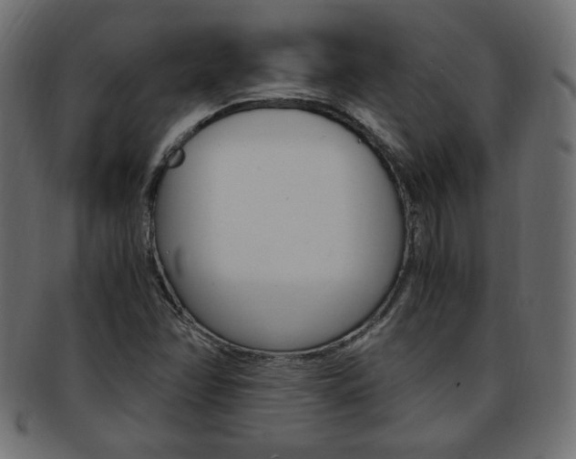 X0000094081358200710190908