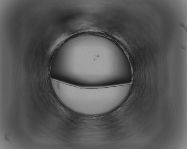 X0000094081359200710190908
