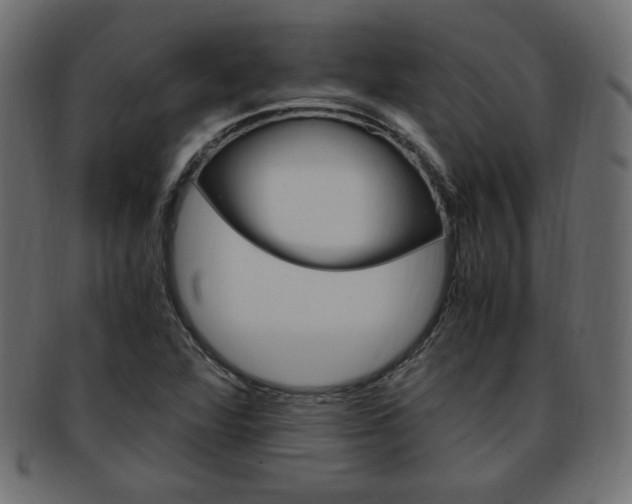 X0000094081360200710190908