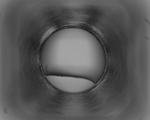 X0000094081362200710190908