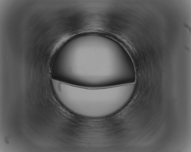 X0000094081363200710190908